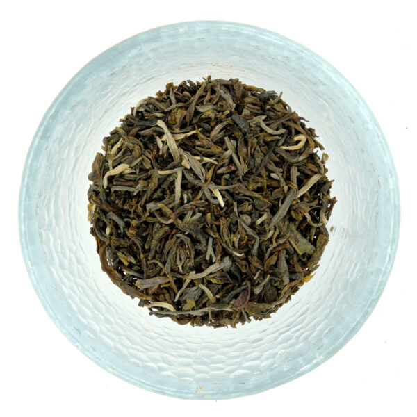 Jasmin Mao Jian
