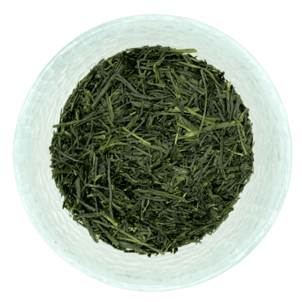 Kabusecha